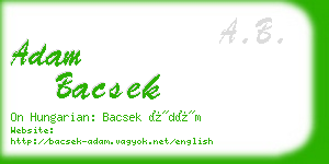 adam bacsek business card